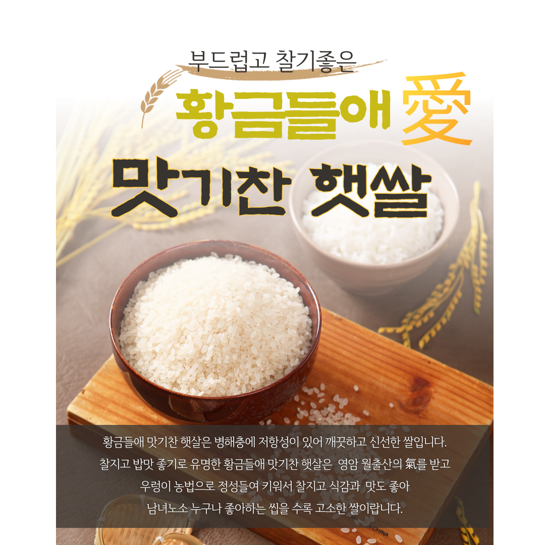 2023년 황금들애 맛기찬 햇쌀 10kg( 주문시 도정 )